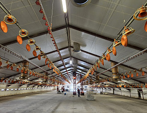 Oprava podhledu a střechy